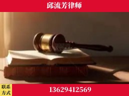 河池-疑难刑事案件处理